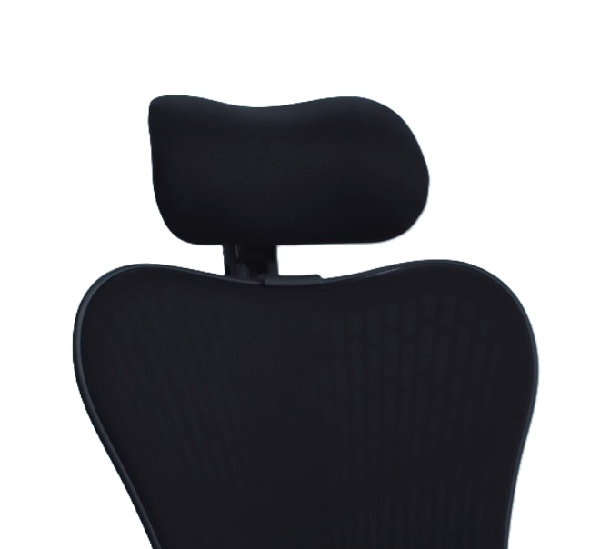 Atlas Headrest Mirra2.jpg