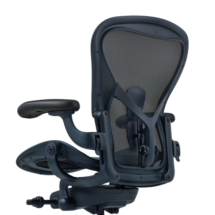 Aeron Nightfall, PostureFit SL 9.jpg