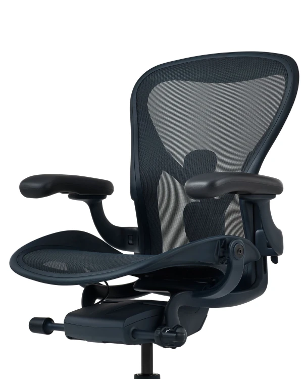 Aeron Nightfall, PostureFit SL 8.jpg