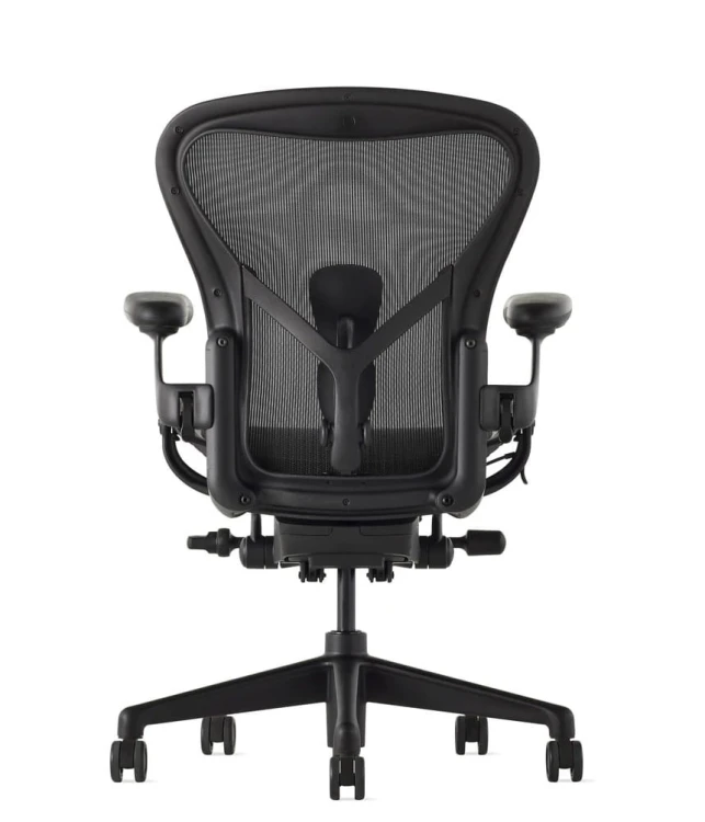 aeron_onyx_2.jpg